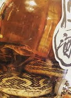 新メニュー沖縄エナジードリンク